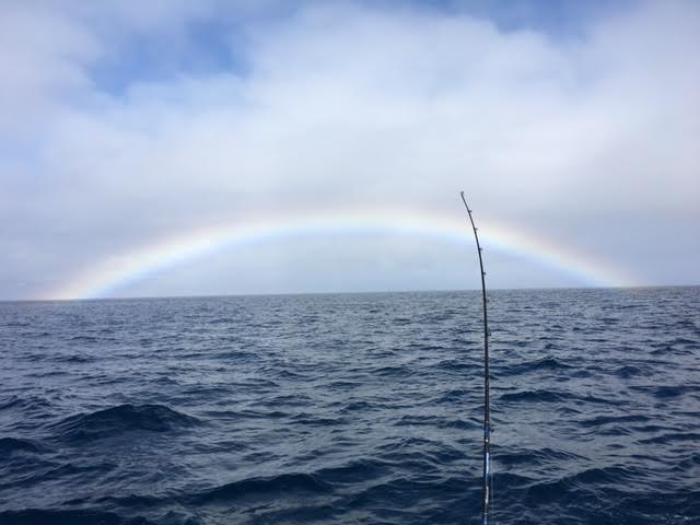 bent rod rainbow